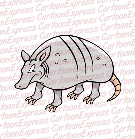 armadillo